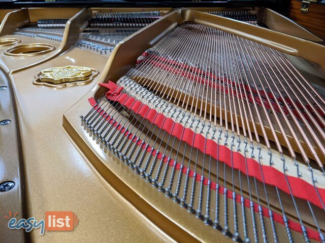 186cm Samick Grand Piano Ebony Polished NSG186