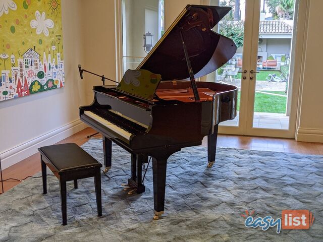 Yamaha Disklavier Enspire Baby Grand Piano GC1M Ebony Polished