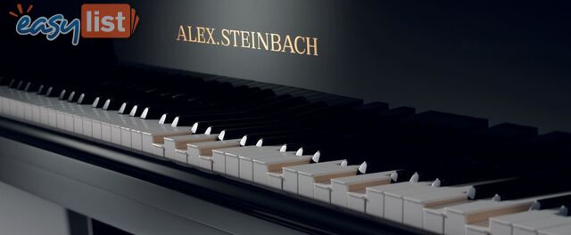 Alex Steinbach lifestyle Piano and The Invisible Pianist