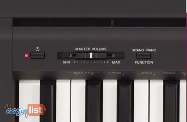 Yamaha P-45 -P-Series