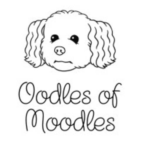 Oodles of Moodles Pty Ltd